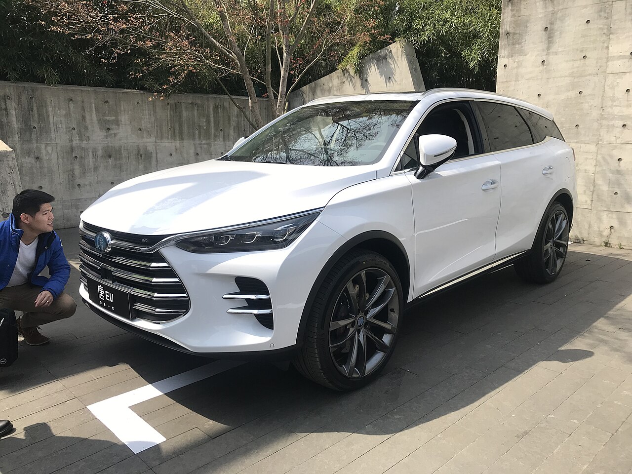 BYD Tang DM-i