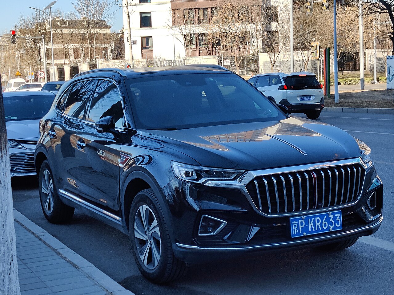Hongqi HS5