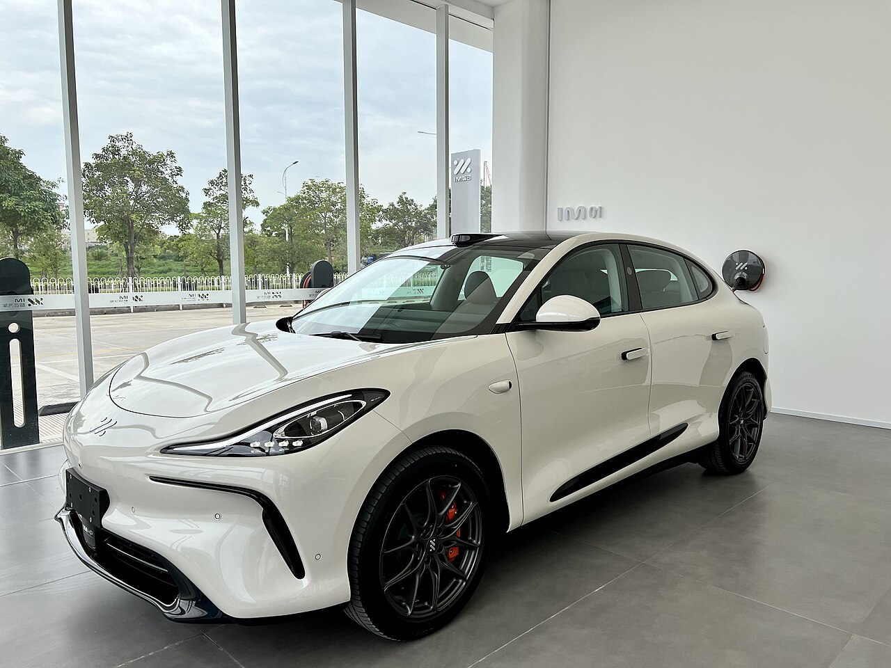 IM Motors LS6