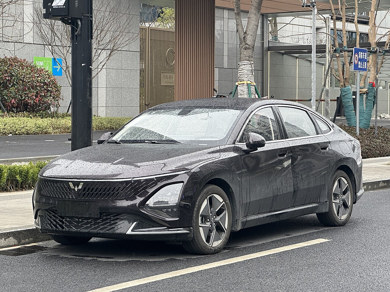 Wuling Starlight